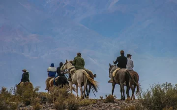 Cuatro personas, entre ellos un niño de 13 años, se fracturaron al caer de sus caballos Cuatro personas, entre ellos un niño de 13 años, se fracturaron al caer de sus caballos