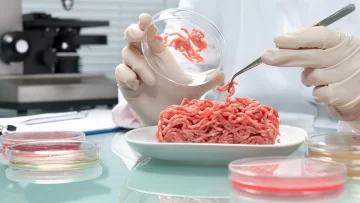 Italia aprobó un proyecto de ley que prohíbe la producción y venta de carne artificial Italia aprobó un proyecto de ley que prohíbe la producción y venta de carne artificial