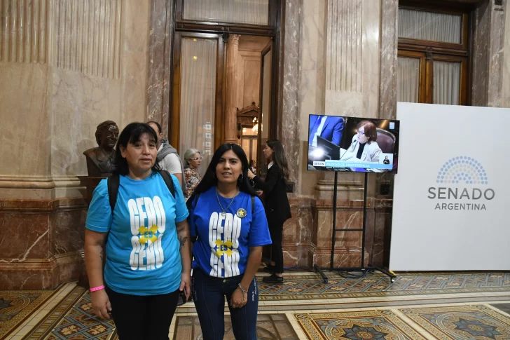 El Senado, por amplia mayoría, convirtió en ley el alcohol cero