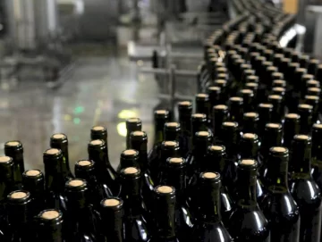 Críticas por el aporte a Coviar y viñateros piden que sea voluntario