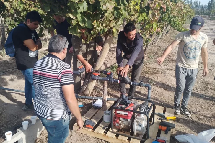 La UNSJ agregará capacitación gratuita para la inserción laboral