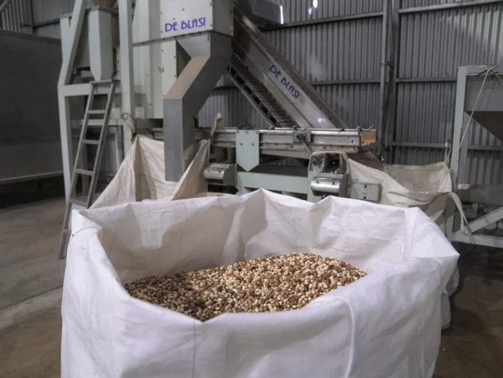 Productores de pistacho se juntan para darle impulso sin precedentes al sector