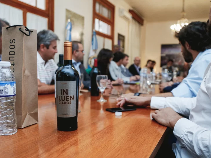 El Gobierno y campaña de promoción de vinos El Gobierno y campaña de promoción de vinos