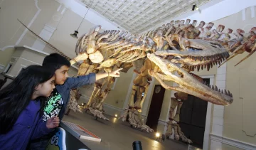 Aventura en tierra de dinos Aventura en tierra de dinos