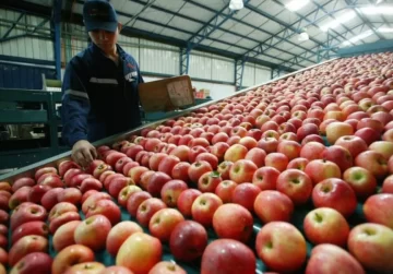 Agricultura incorporó nuevos productos de economías regionales al dólar agro Agricultura incorporó nuevos productos de economías regionales al dólar agro