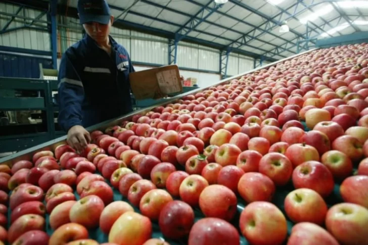 Agricultura incorporó nuevos productos de economías regionales al dólar agro