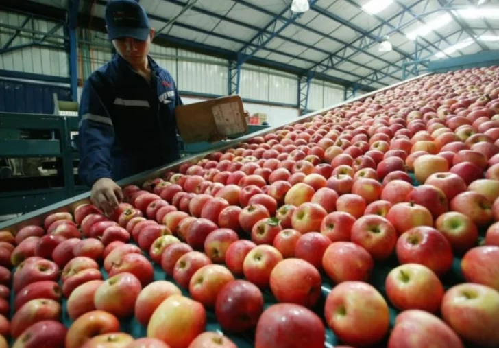 Agricultura incorporó nuevos productos de economías regionales al dólar agro Agricultura incorporó nuevos productos de economías regionales al dólar agro