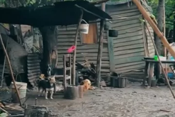 El insólito spot de un candidato a intendente que propone “cagar en un baño decente” El insólito spot de un candidato a intendente que propone “cagar en un baño decente”
