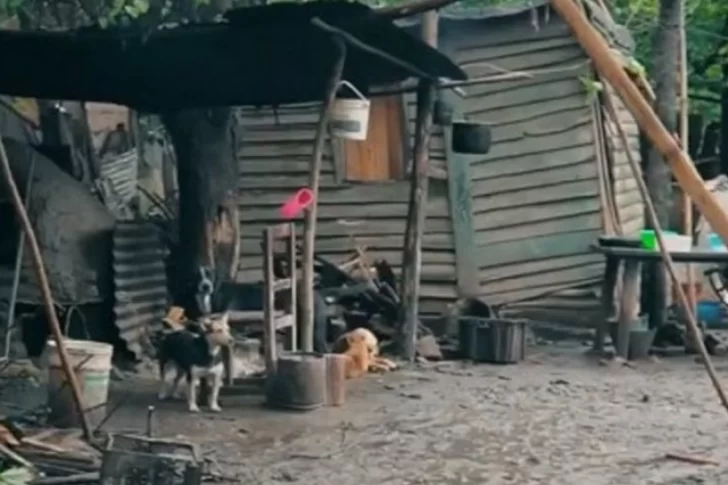 El insólito spot de un candidato a intendente que propone “cagar en un baño decente” El insólito spot de un candidato a intendente que propone “cagar en un baño decente”