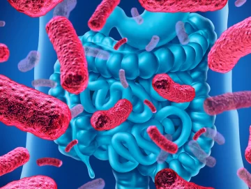 El elixir de hoy El elixir de hoy