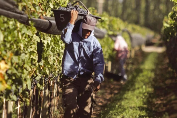Destinarán $500 millones para asistir a productores vitivinícolas en situación de vulnerabilidad