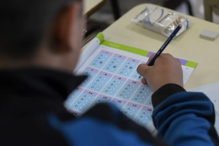 Pruebas Aprender 2022: hubo avances en lengua y los resultados no aparecen en matemática