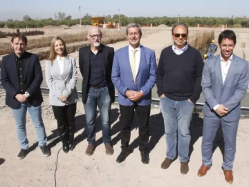 Vicunha quiere comprar el algodón que se pueda producir en San Juan