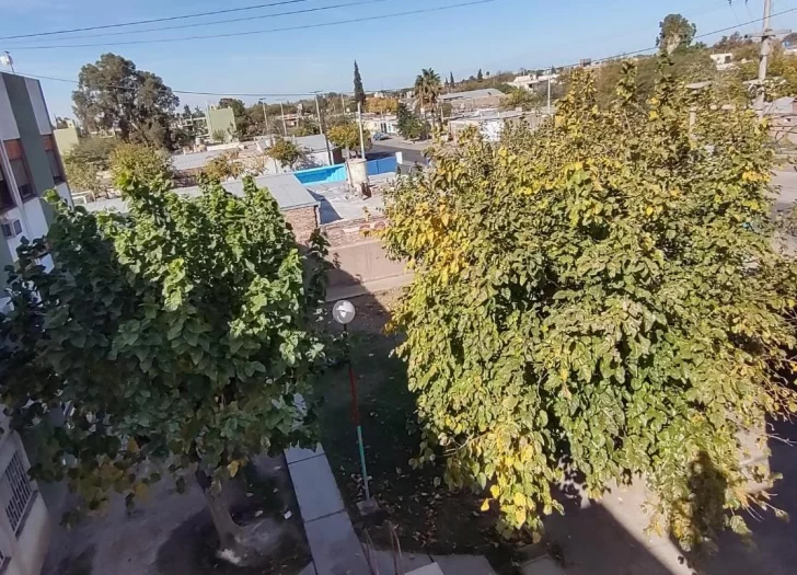 Por el calor, retrasan 15 días el inicio de la temporada de poda Por el calor, retrasan 15 días el inicio de la temporada de poda