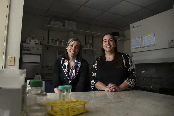 Los logros y desafíos en cuatro décadas de lucha contra el VIH