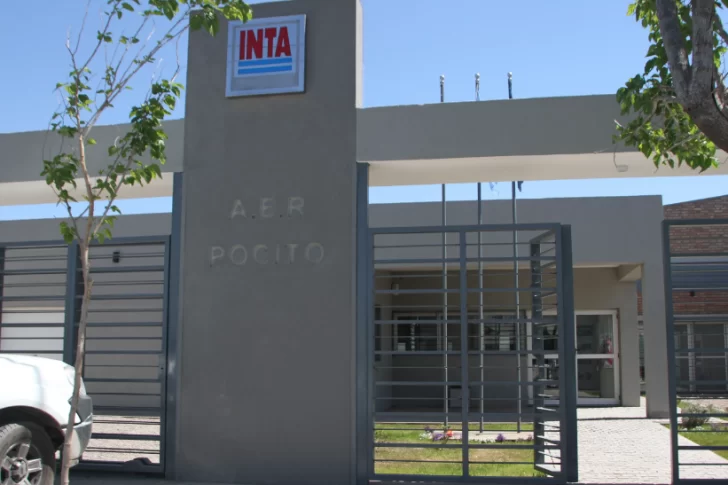 Hackearon el sistema informático del INTA y piden U$S 2,5 millones para devolverlo