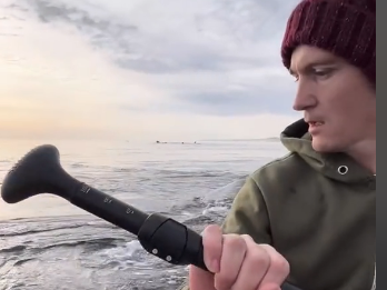 Salieron a andar en kayak y una ballena se acercó a “jugar” Salieron a andar en kayak y una ballena se acercó a “jugar”