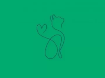 Lo primero que veas revelará si sos una persona narcisista Lo primero que veas revelará si sos una persona narcisista