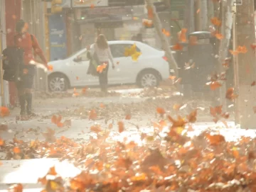 Según el SMN, durante la mañana de este lunes llegarán ráfagas de viento del Sudeste Según el SMN, durante la mañana de este lunes llegarán ráfagas de viento del Sudeste