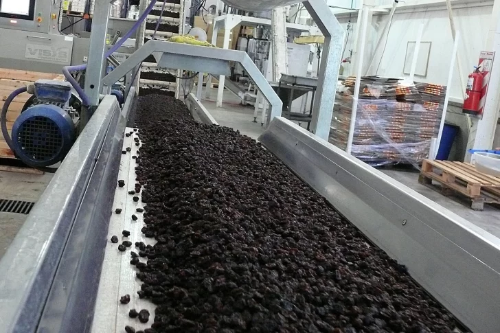 Por 2.000 toneladas de pasas frenadas en Brasil buscan salida