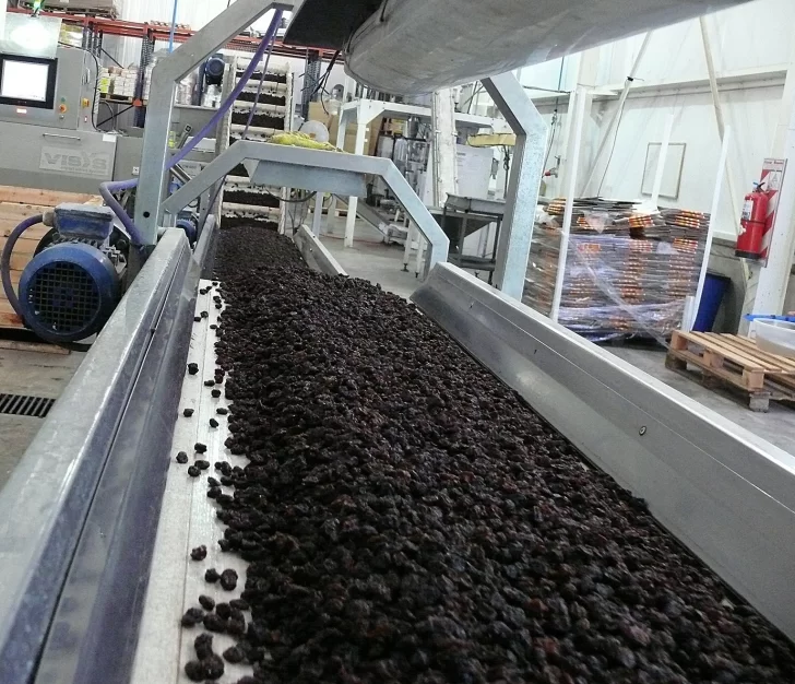 Por 2.000 toneladas de pasas frenadas en Brasil buscan salida