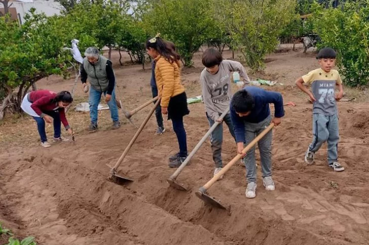 INTA trabaja para que todas las escuelas vallistas tengan huerta