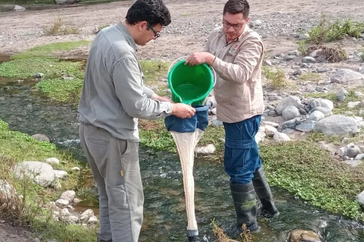 Monitoreo en las aguas de Valle Fértil