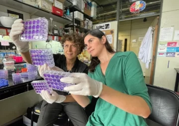 Un avance clave de argentinas para ponerle freno al dengue