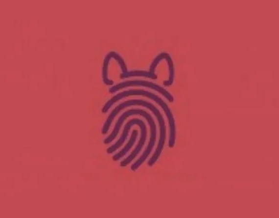 Lo primero que veas revelará si sos una persona leal Lo primero que veas revelará si sos una persona leal