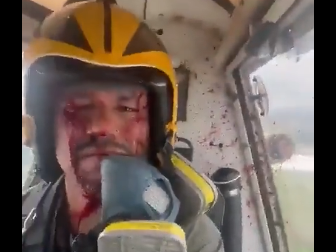 Un ave impactó contra un avión, se metió en la cabina y la acción del piloto descolocó a todos Un ave impactó contra un avión, se metió en la cabina y la acción del piloto descolocó a todos