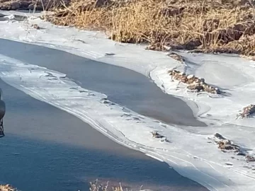 Frío extremo en Barreal: el Río los Patos, congelado