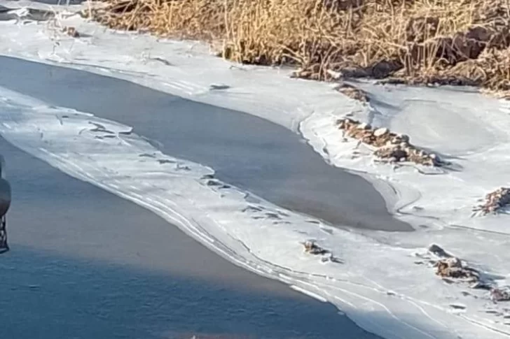 Frío extremo en Barreal: el Río los Patos, congelado
