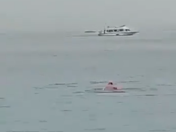 Impactante video: captan el momento en que un tiburón devora a un nadador Impactante video: captan el momento en que un tiburón devora a un nadador