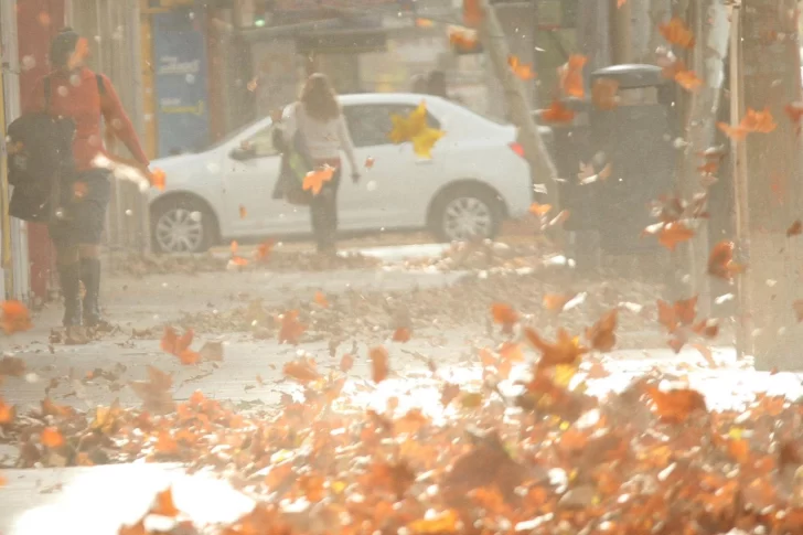 Emiten un alerta por viento Zonda para el viernes: los detalles
