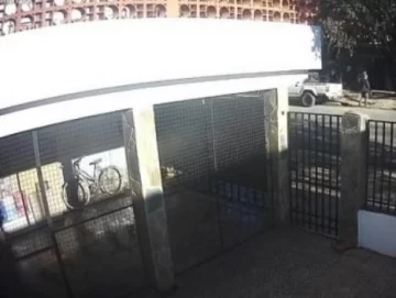 Sangre en camioneta de César Sena