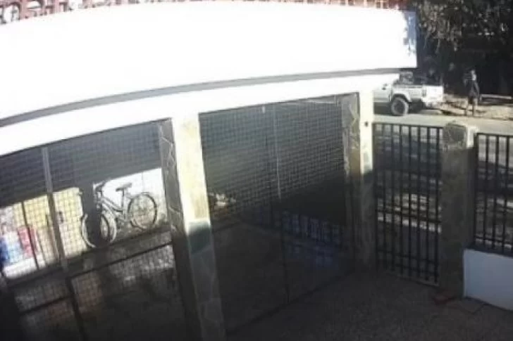 Sangre en camioneta de César Sena