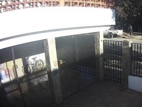 Sangre en camioneta de César Sena