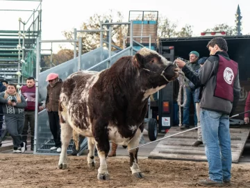 Los primeros en La Rural