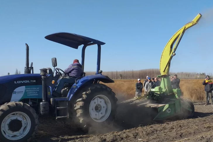 Rawson: está en marcha el polo de trabajo que beneficiará al productor de miel y espárragos