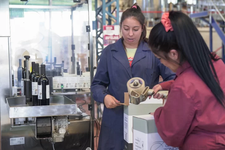 Críticas a medidas de Massa y alivio por el fin a retenciones al vino y mosto