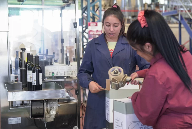 Críticas a medidas de Massa y alivio por el fin a retenciones al vino y mosto