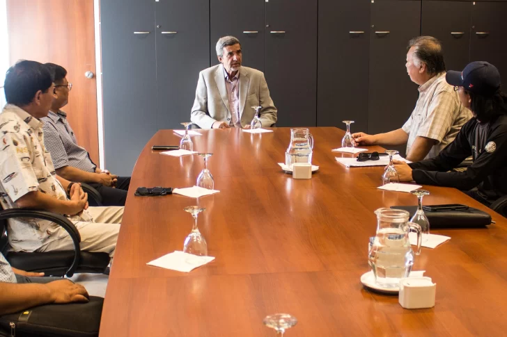 Anuncian inversión por US$1.100 millones en plantas de litio y fábrica