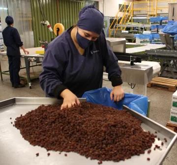 Para el presidente de los exportadores sanjuaninos es necesario un acuerdo general para estabilizar la economía Para el presidente de los exportadores sanjuaninos es necesario un acuerdo general para estabilizar la economía