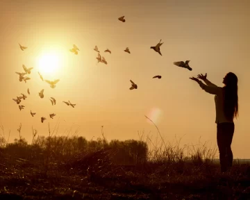 El Camino hacia la libertad interior