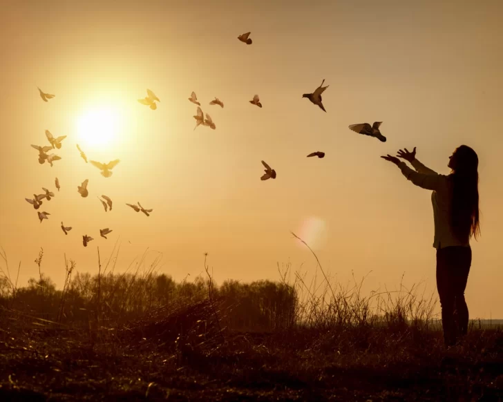 El Camino hacia la libertad interior