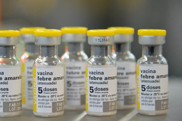 Recuerdan vacunarse contra la fiebre amarilla para viajar