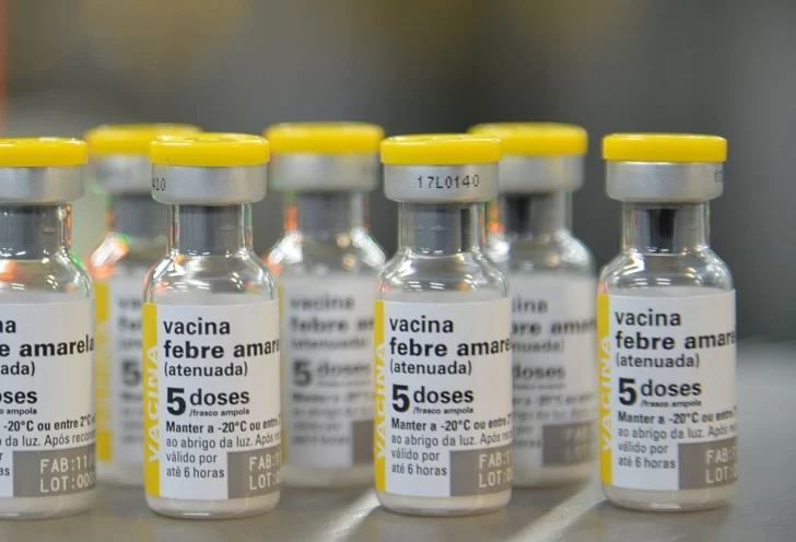 Recuerdan vacunarse contra la fiebre amarilla para viajar