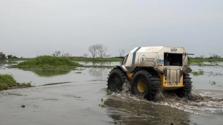 La ONU prevé robots con IA para distribuir alimentos La ONU prevé robots con IA para distribuir alimentos