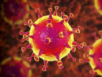 Covid: “Hay una nueva variante en Argentina pero por ahora no genera preocupación” Covid: “Hay una nueva variante en Argentina pero por ahora no genera preocupación”