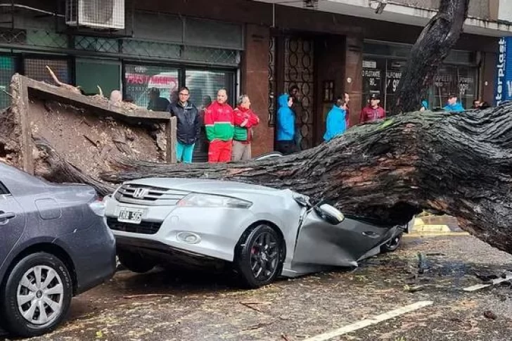 Las lluvias extremas del AMBA serían un primer aviso de El Niño